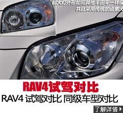 RAV4ͶԱ